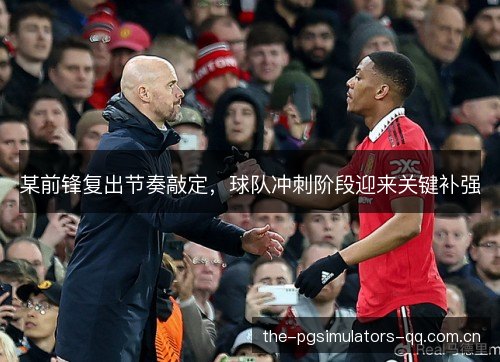 某前锋复出节奏敲定,球队冲刺阶段迎来关键补强 某前锋复出节奏敲定,球队冲刺阶段迎来关键补强